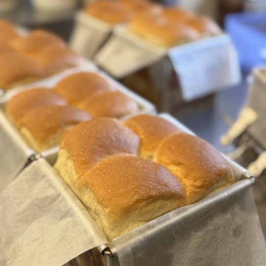 公式のお知らせ - 株式会社パネックス：天然酵母を使用した長期保存